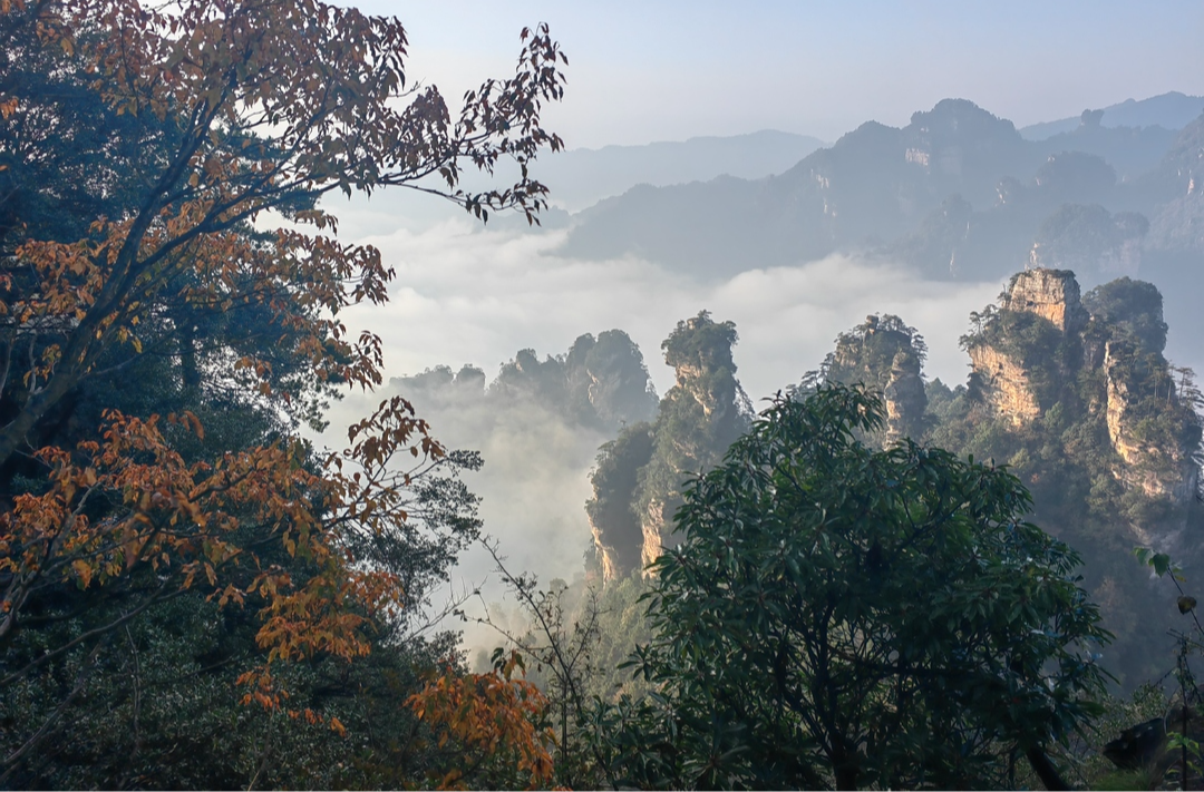 光影仙境！张家界黄石寨深秋现绝美