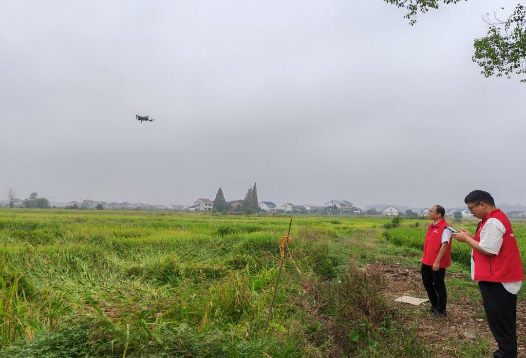 用脚步丈量灾情 用服务彰显担当——人保财险攸县支公司全力保障粮食安全