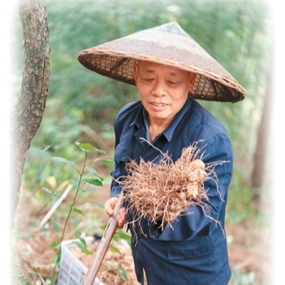 在大山里“种”出好日子