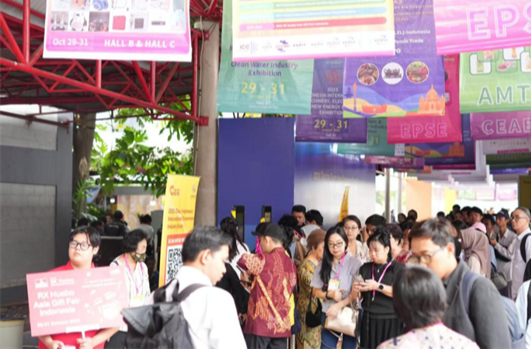 Hunan Enterprise Delegation Attends 2025 China (Indonesia) Int'l E-Commerce Industry Expo