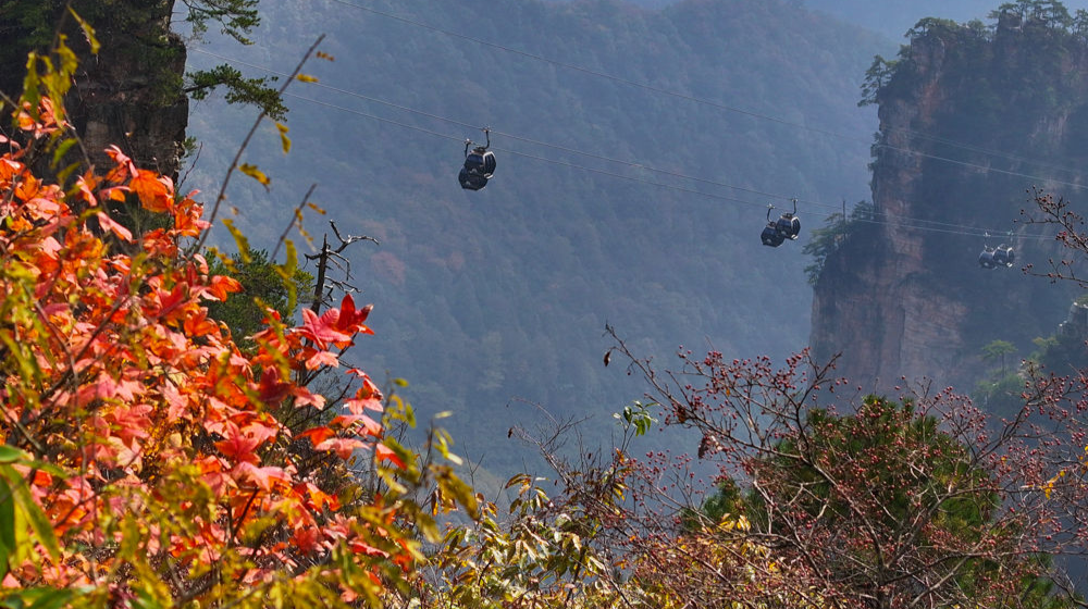 湖南张家界：色彩斑斓天子山