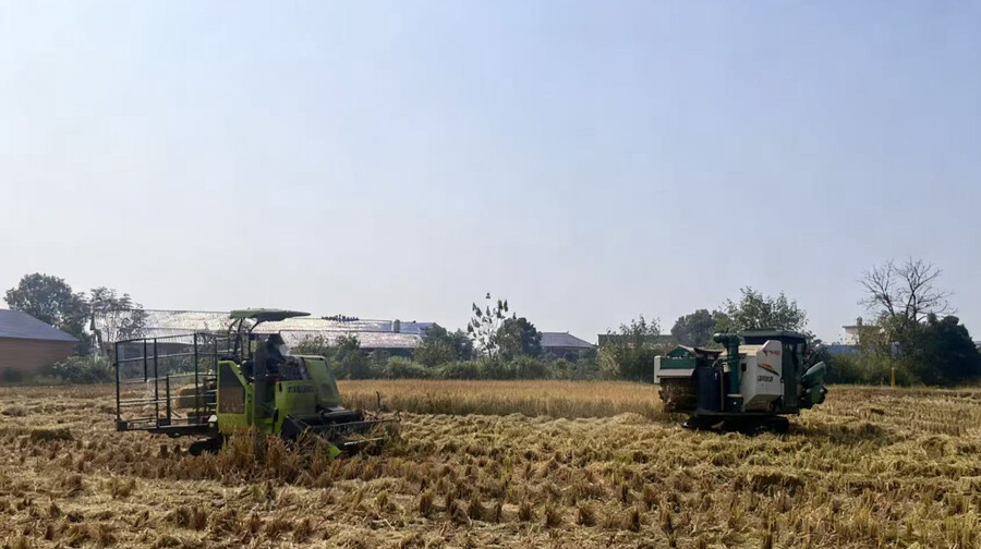 湘乡泉塘镇：秸秆回收再利用，农户秋收再添“薪”