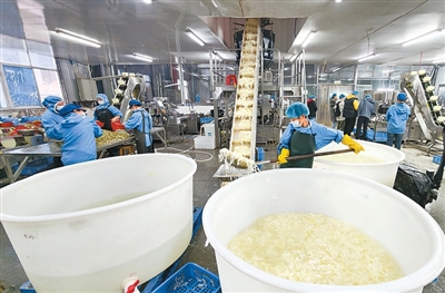 湖南发展林下经济点“绿”成“金”——在大山里“种”出好日子