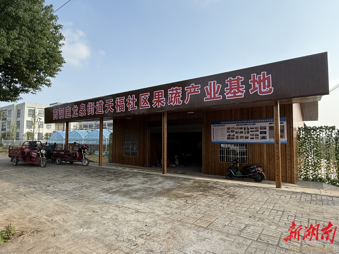 支部建在产业上⑪丨天福社区：特色种植 助农增收