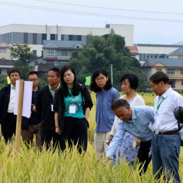 从“物理集聚”到“化学融合” 怀化市产教联合体激活区域发展新动能