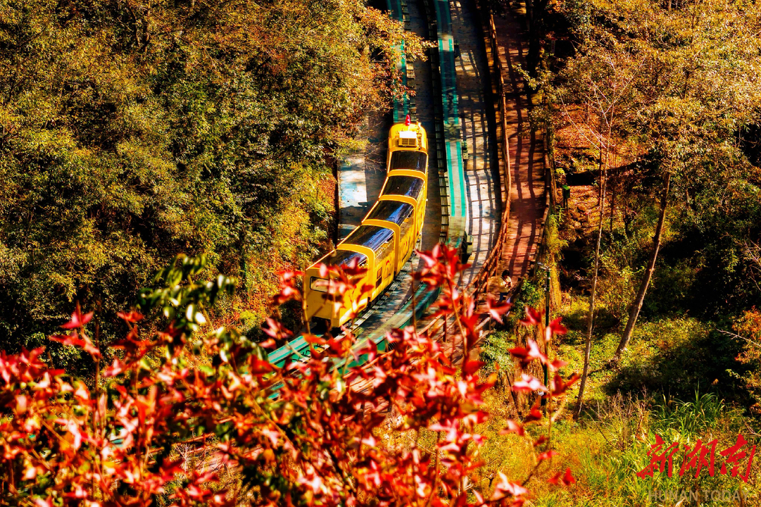张家界十里画廊：深秋调色盘已送达，观光电车带你驶入层林尽染的童话秘境