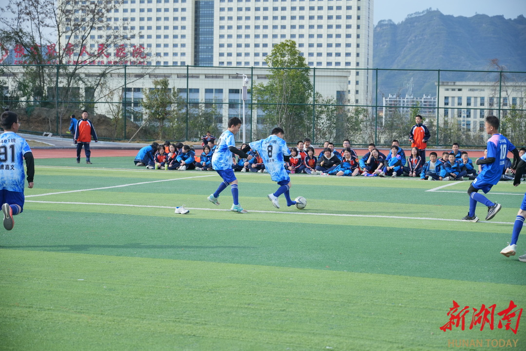 教育强省调研行⑦丨张家界市：“五育”融合绘就教育新画卷