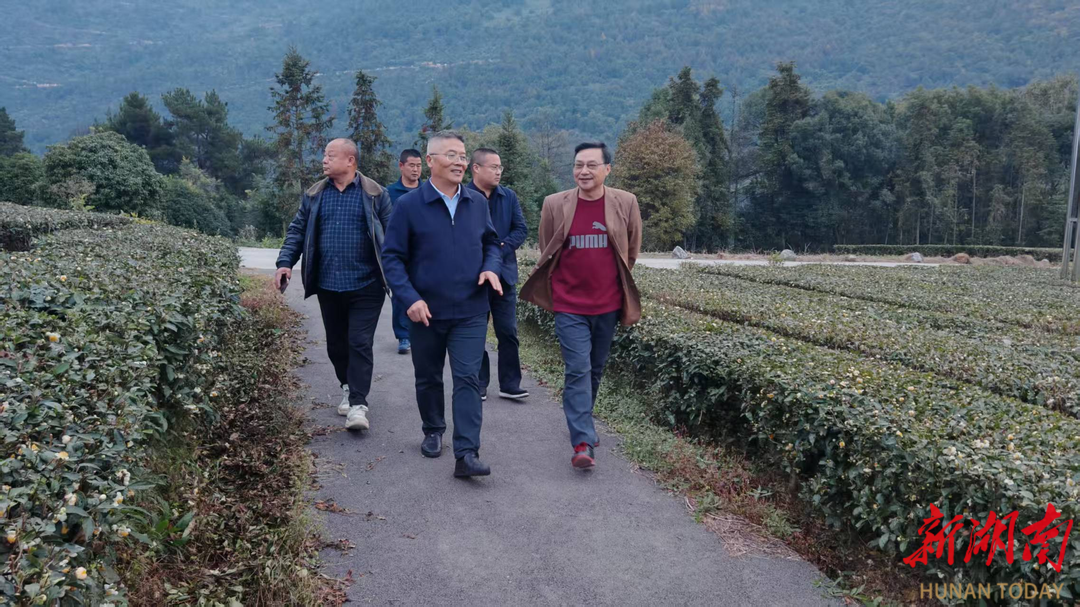 张家界市政协深入东岳观镇新花村调研