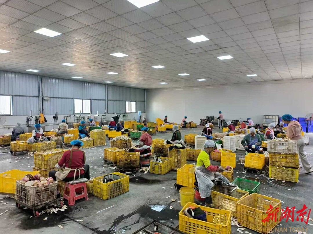 江永：超龄务工可参保，权益保障不缺位