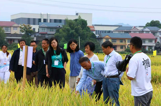 从“物理聚集”到“化学聚合”——怀化市产教联合激活区域发展新动能