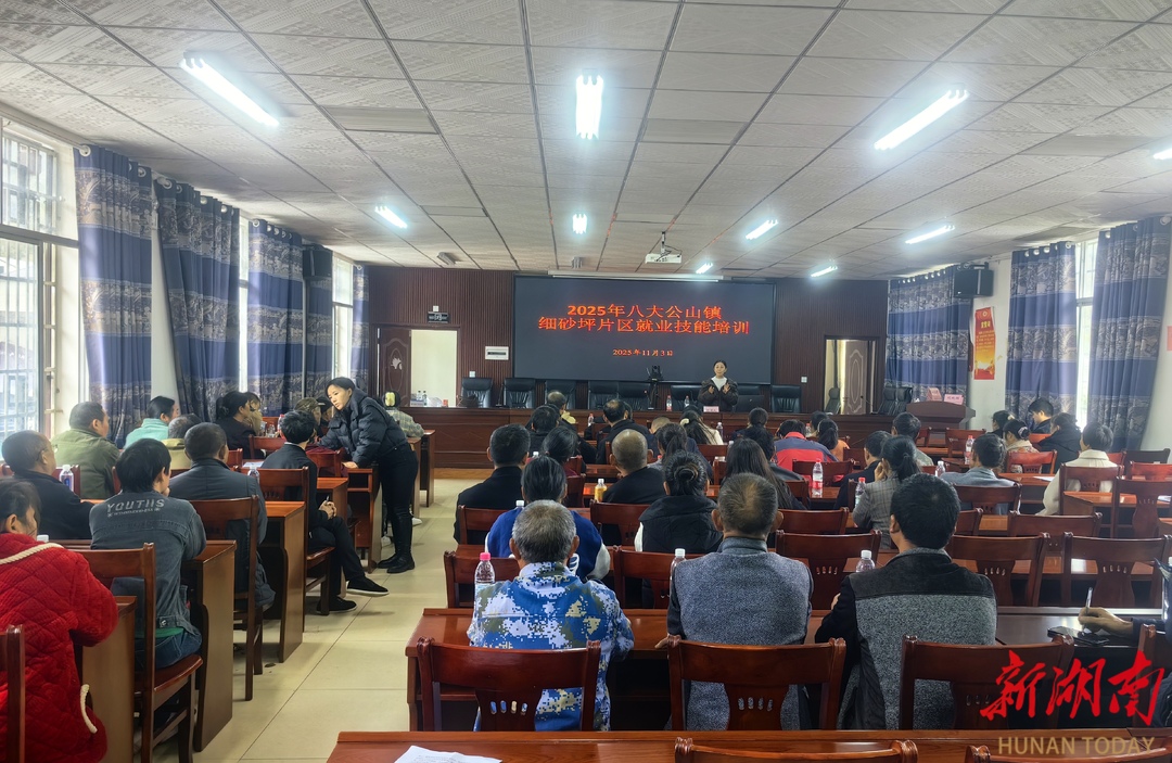 赋能乡村振兴 技能培训添动力——八大公山镇多主题培训为群众增收注入新动能