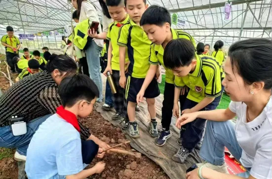 卸下“包袱”、迈开“脚步”，衡阳蒸湘区“减负赋能”让基层焕发新活力