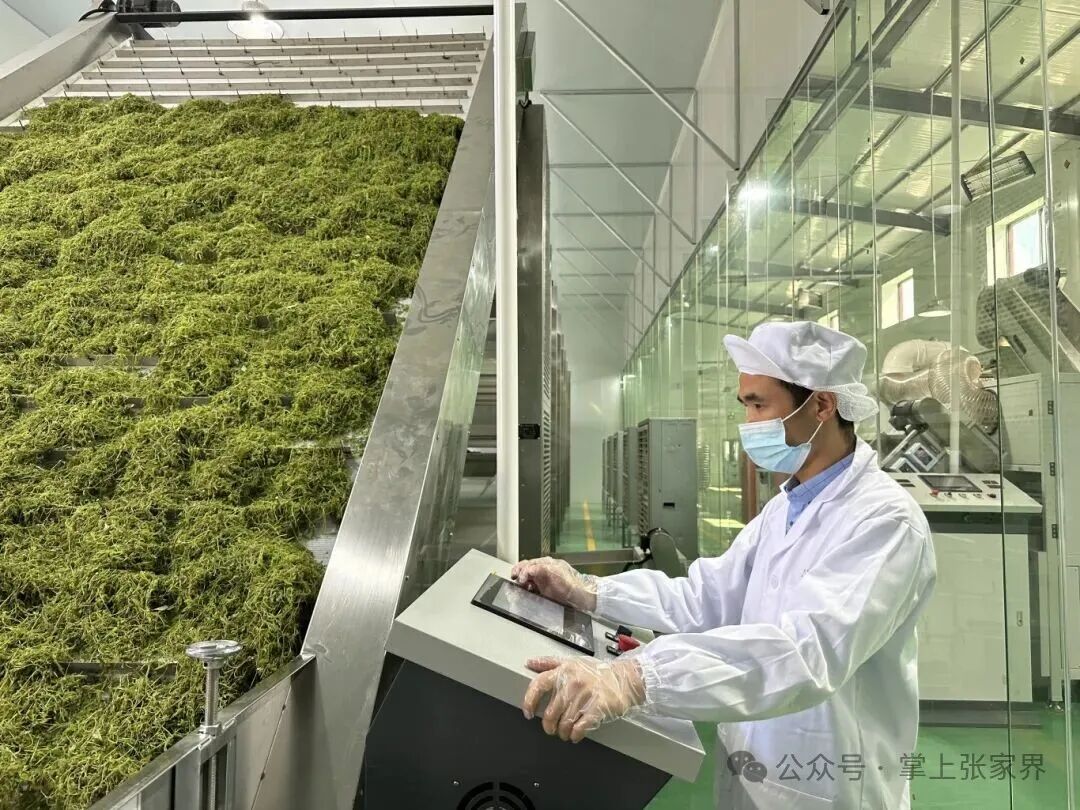 永定区一产业集群首获省级荣誉