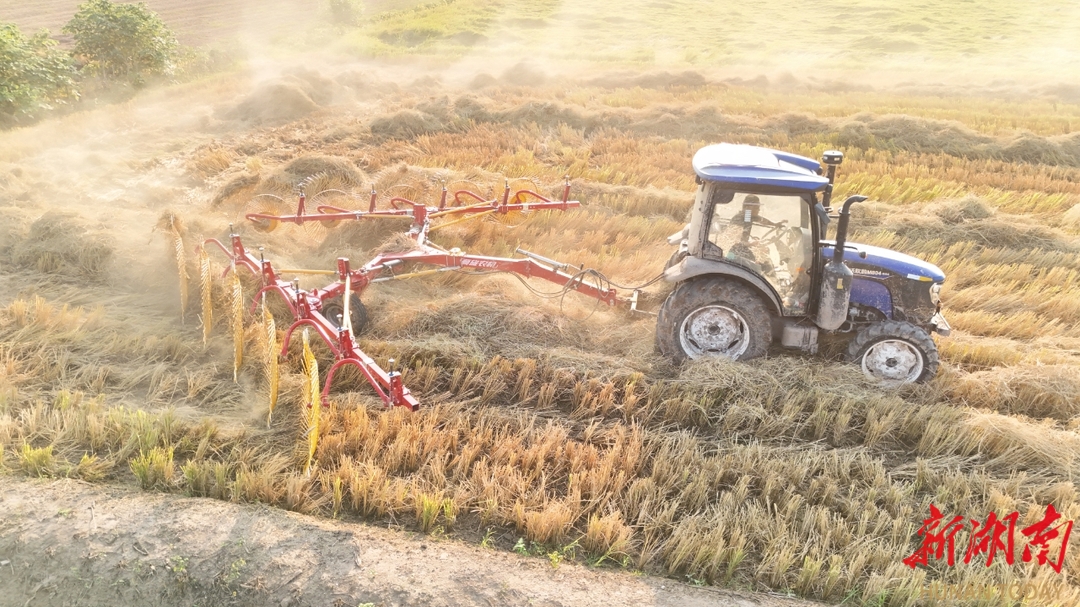 健全队伍+精准服务+畅通渠道，大通湖区秸秆禁烧频出新招见效果