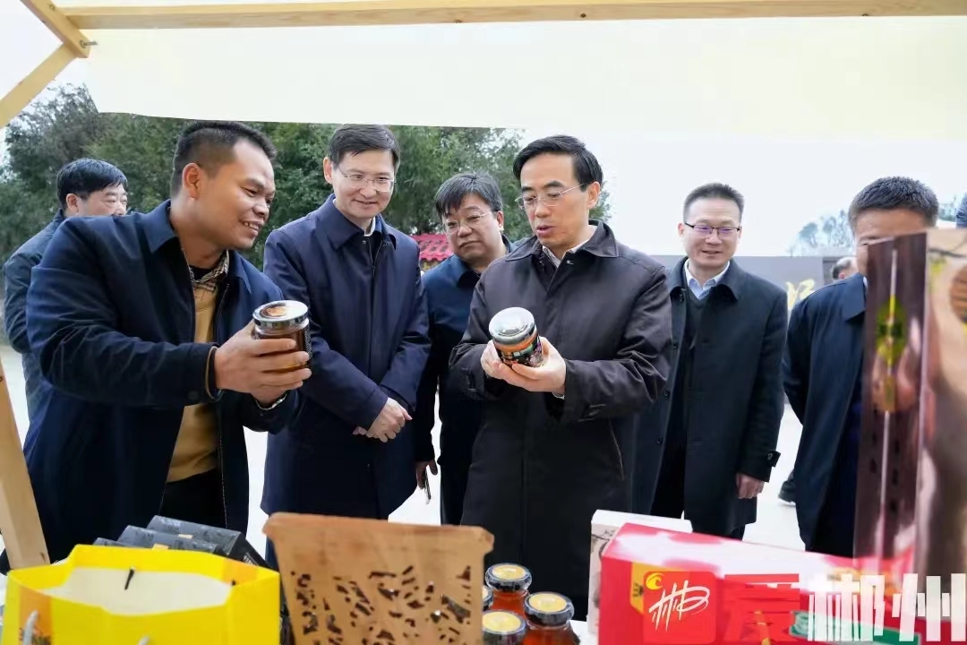 回眸“十四五”·奋进新征程 | 从保障到赋能，郴州残疾人事业交出温暖答卷