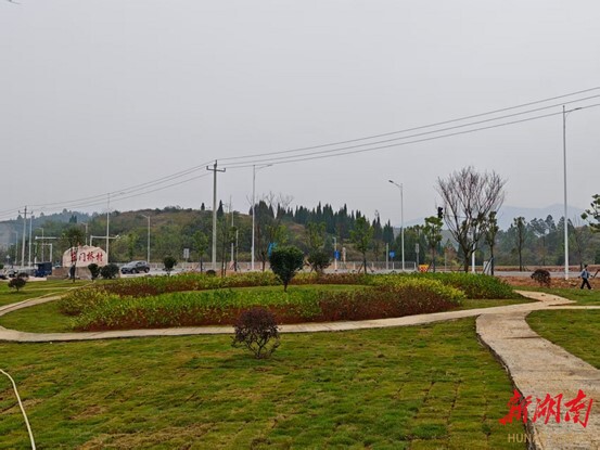 新田中山街道：用“绣花”功夫 “绣”出城乡融合发展新画卷