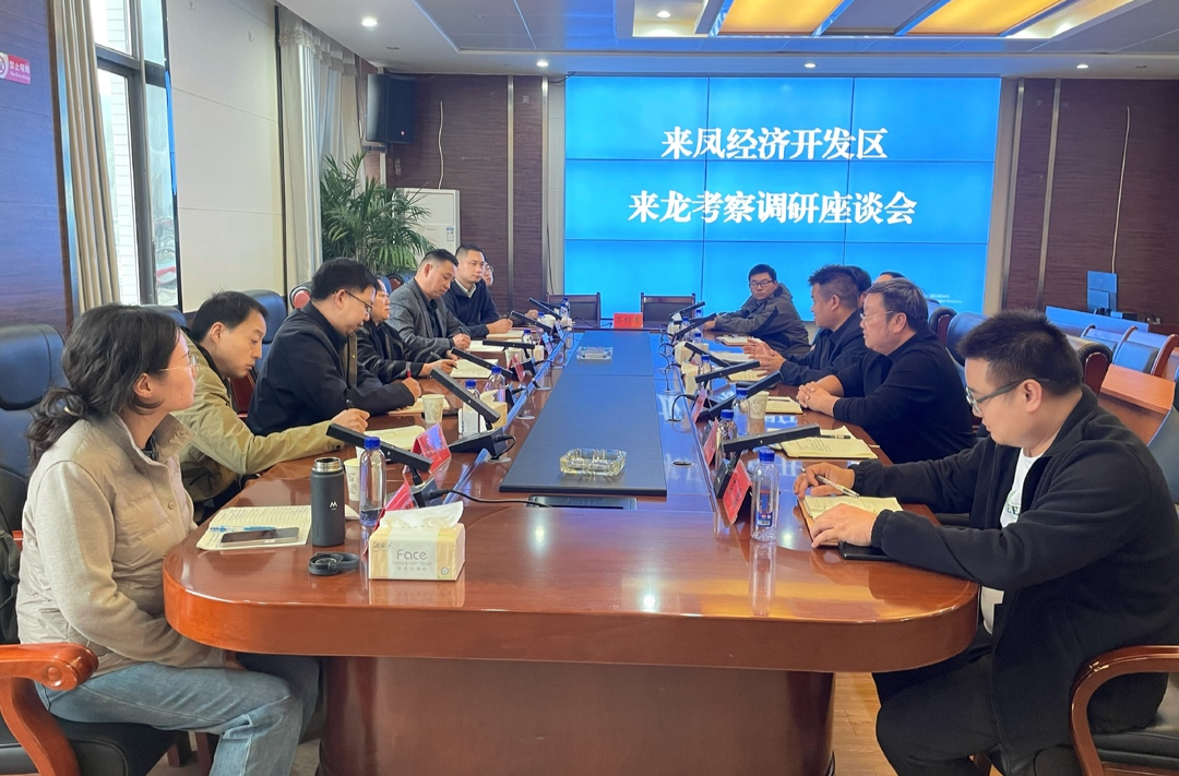 龙凤园区跨省合作 开启产业协同新篇章