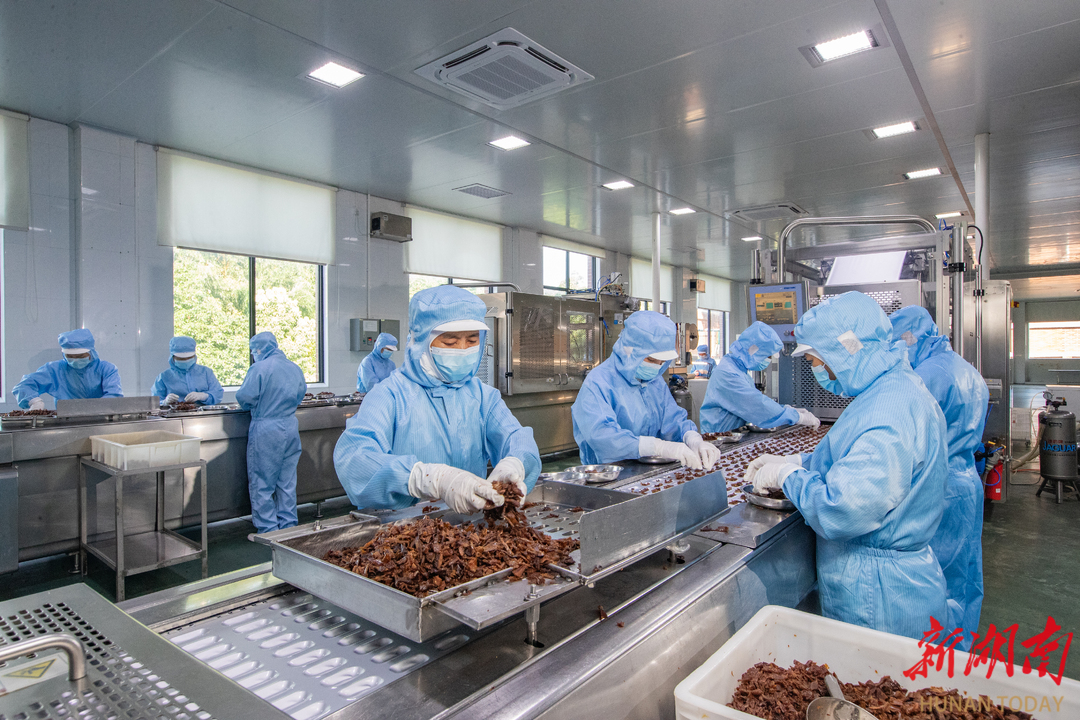 临武高新区：财源建设如火如荼