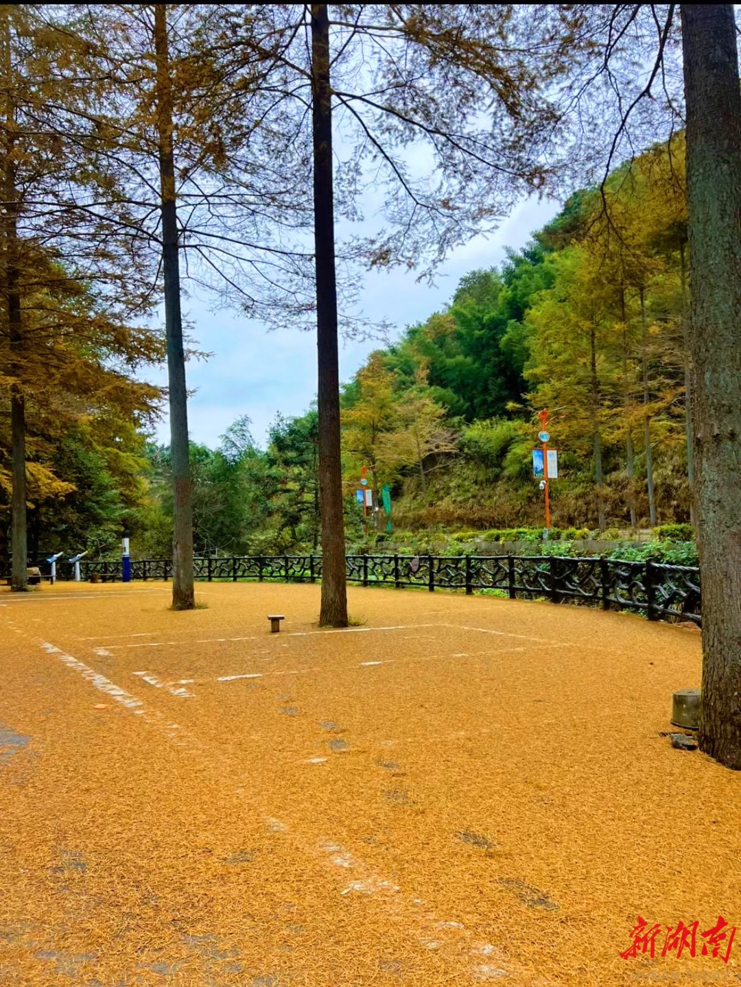 图集|渠江源的秋：把潇湘的诗意，写成了山海的模样