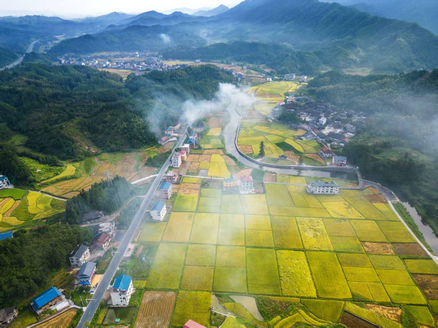一纸碳票，唤醒侗乡沉睡林海