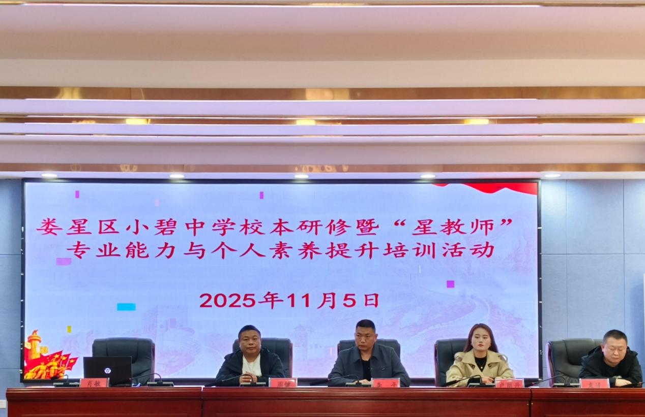 娄底市娄星区小碧中学举行“星教师”专业能力与个人素养提升培训