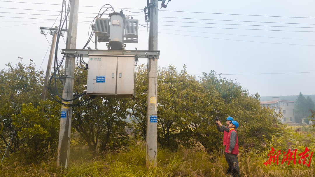 国网衡阳供电公司：电力赋能 榨出乡村致富“油”