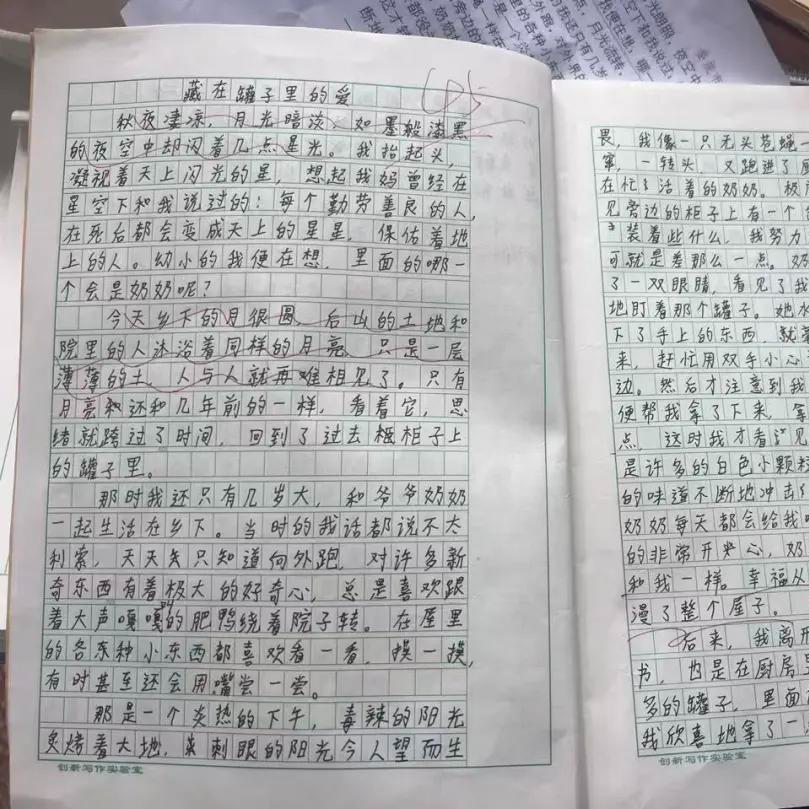 湖南14岁初三男生作文引全网泪目，本人回应
