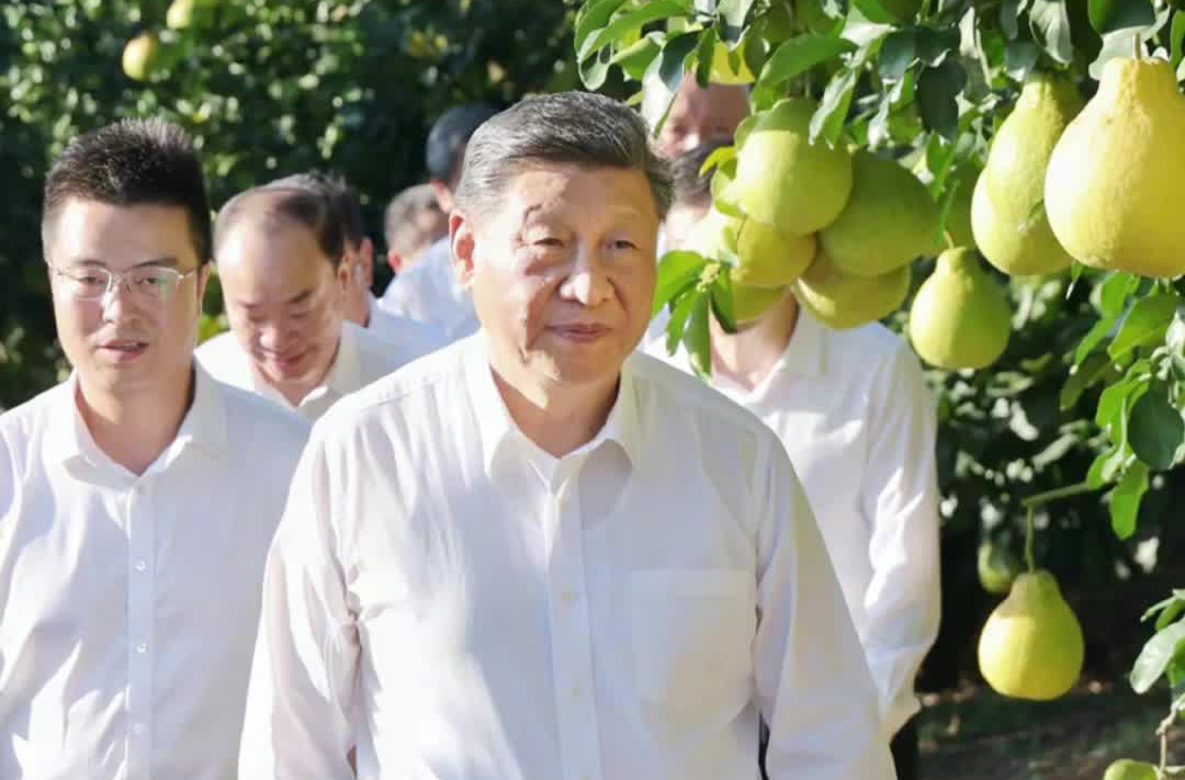 近镜头丨总书记格外关心乡村“土特产”