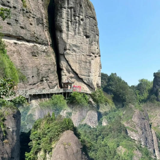 追光的“侣”程