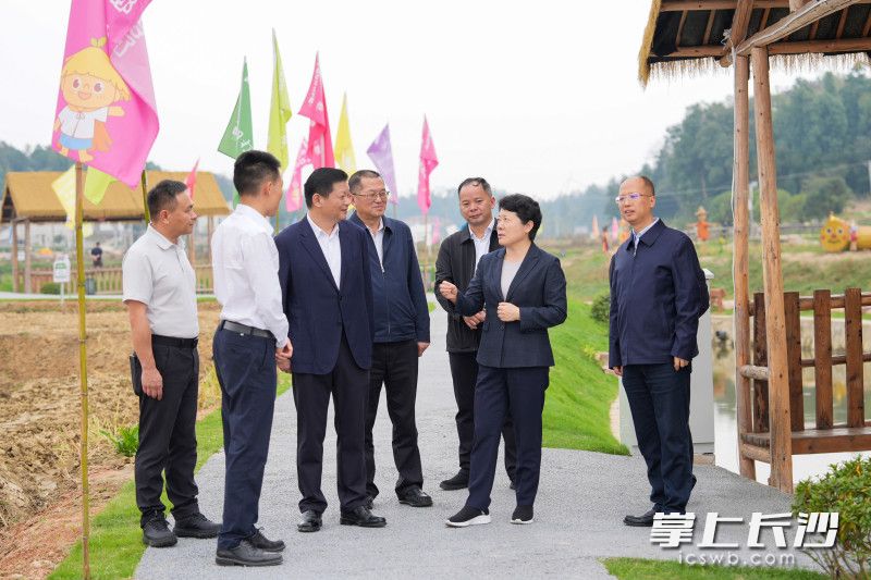 吴桂英在长沙县调研粮食安全、乡村振兴工作