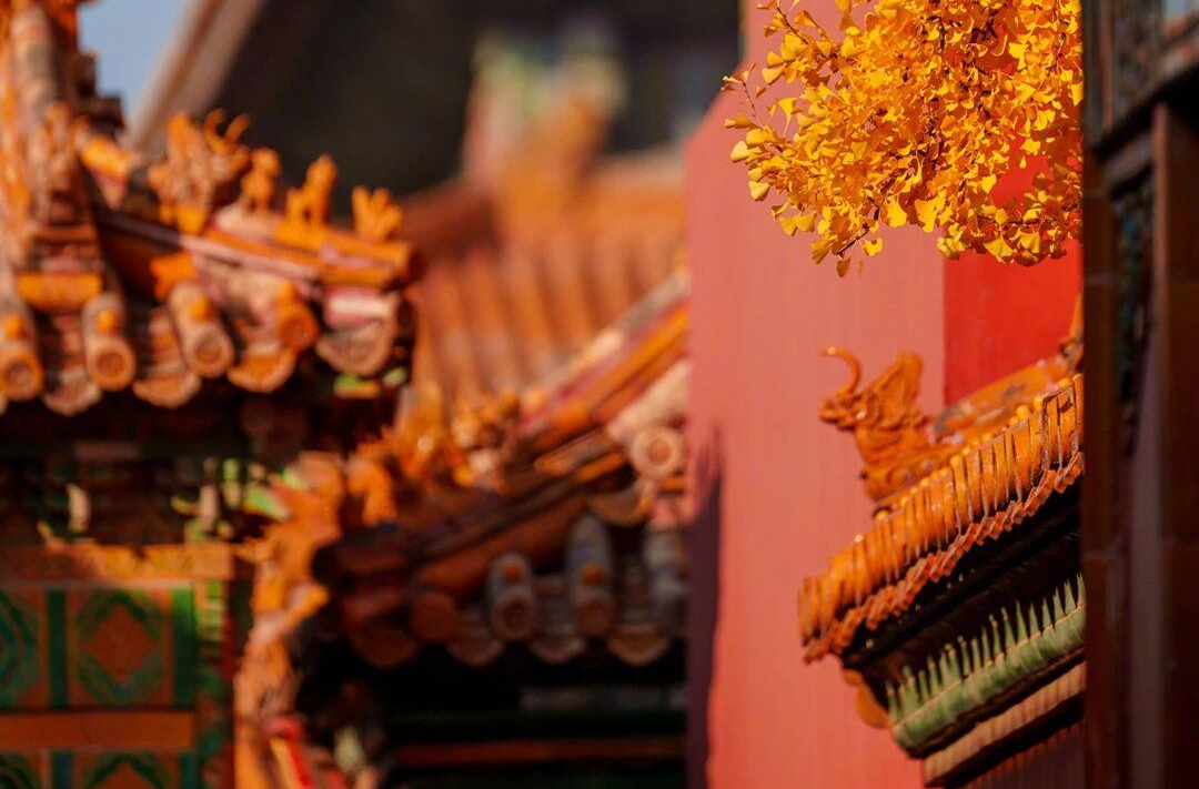 故宫秋日壁纸，上新了！