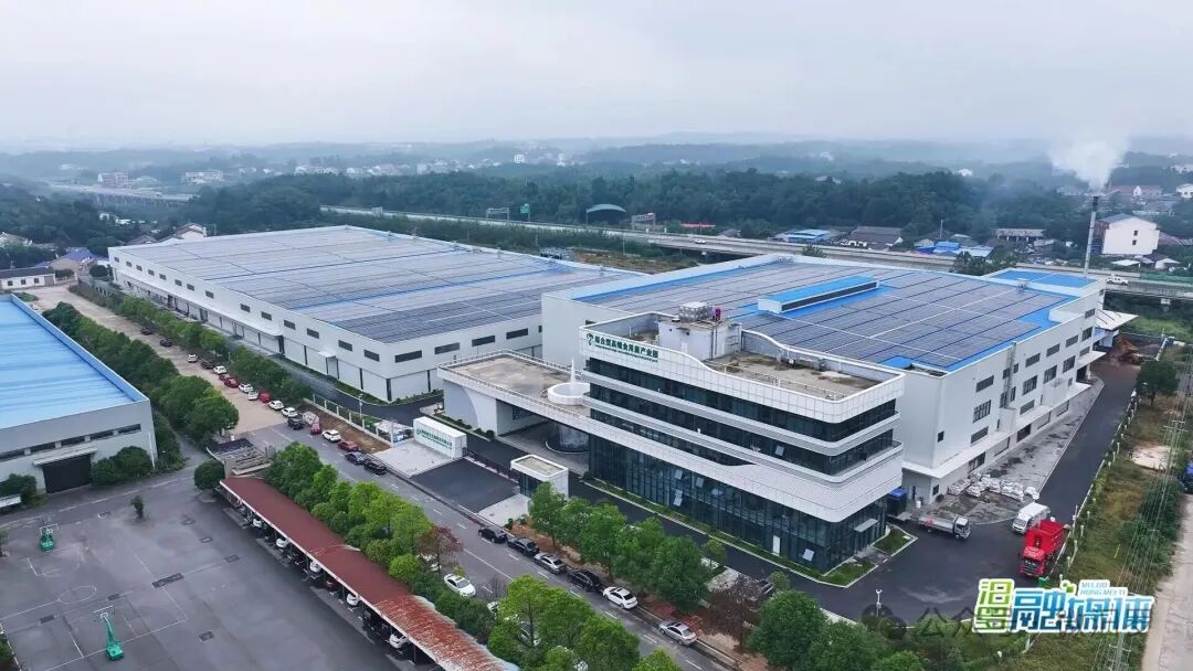 稻草和玉米芯的“奇幻漂流”：在汨罗，它们这样变成亿元鹿茸菇