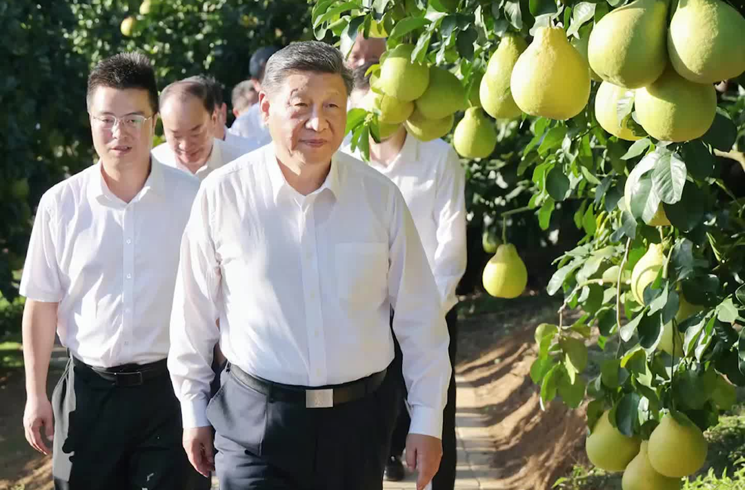 一个个温暖瞬间中感受总书记的深情牵挂