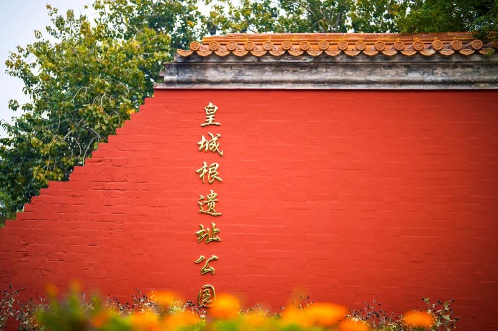 银杏道太出片了，皇城根遗址公园焕新升级