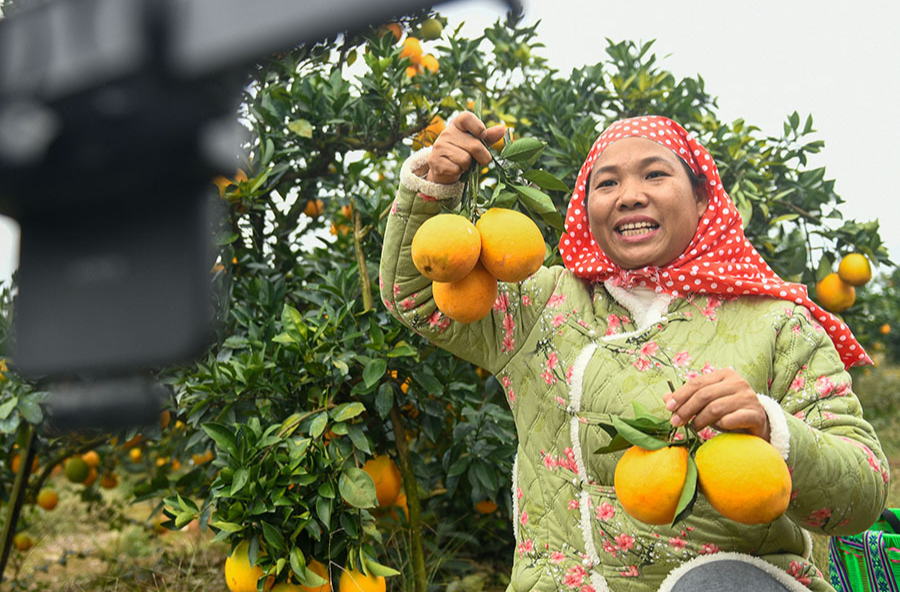 电商助农直播热
