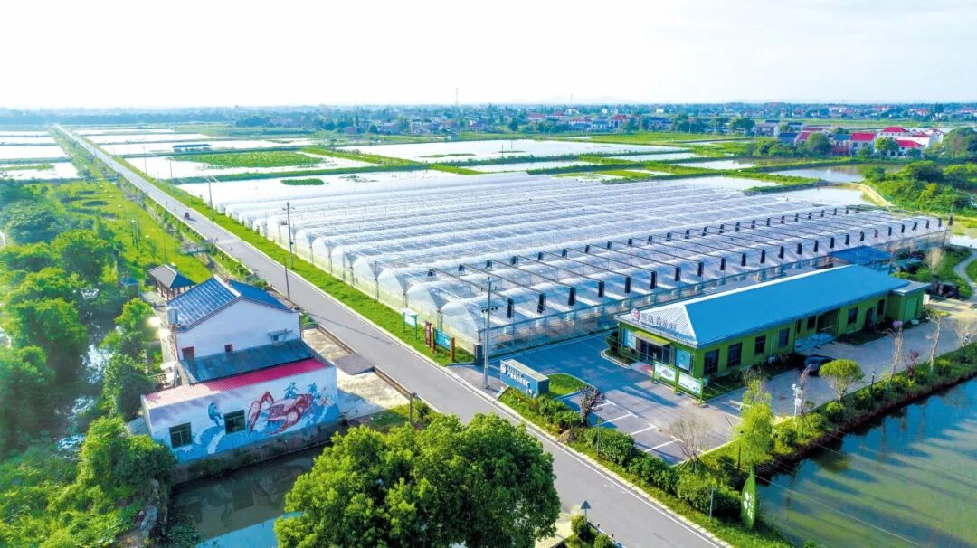 破解“三农”难题的密码：走得出、进得去、待得住