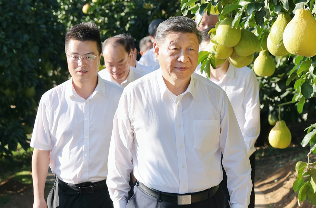 一见·柚子里的“三农”情怀