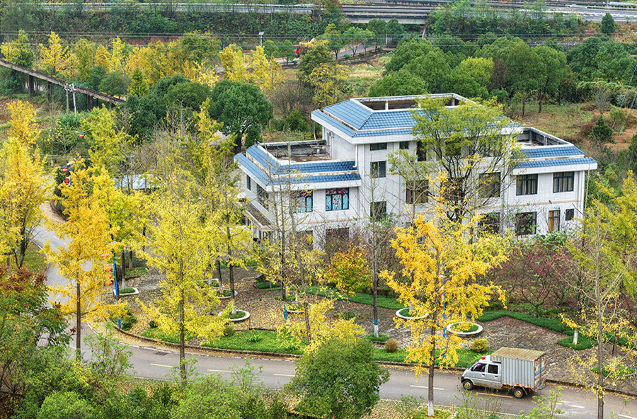 宜居新村展画卷