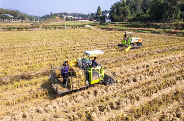 Crop Straw Turned From Waste Into Treasure in Changsha County