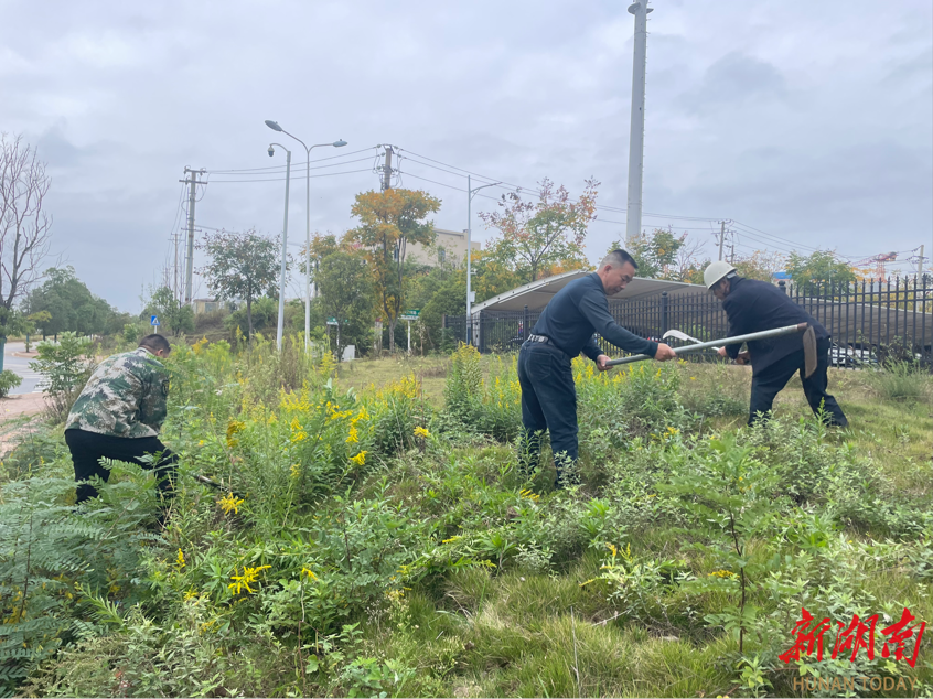 洞阳镇：雷霆出击除“生态杀手” 筑牢生态安全防线