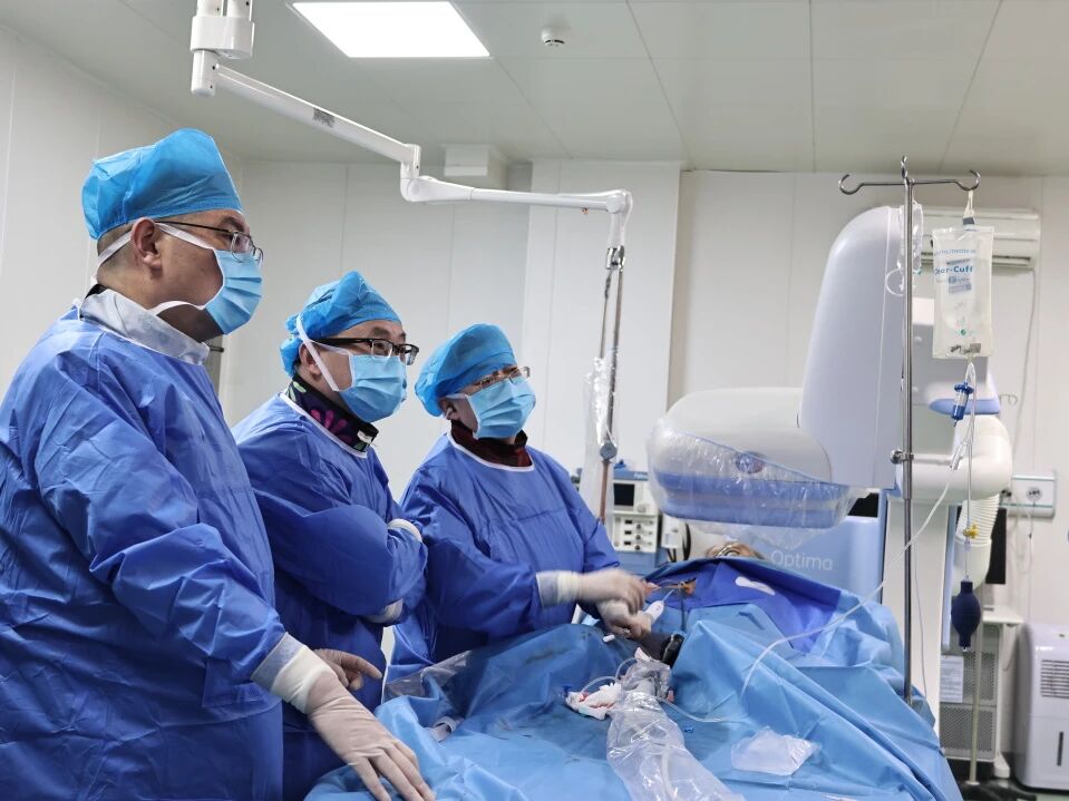 突破高龄手术禁区！长沙泰和医院成功实施长沙首例T-LOVE术式左心耳血栓封堵术