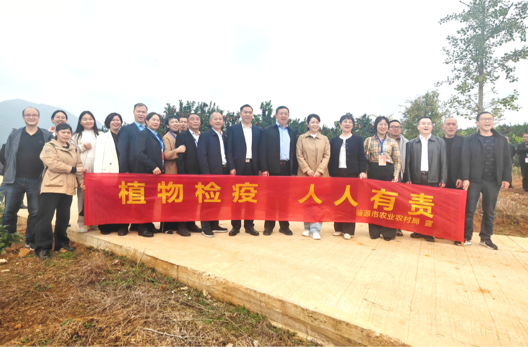 涟源市植保植检站助力柑橘产业发展