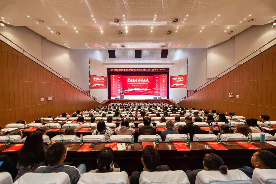 党建聚力“星连心” 和美星城“谱新篇”