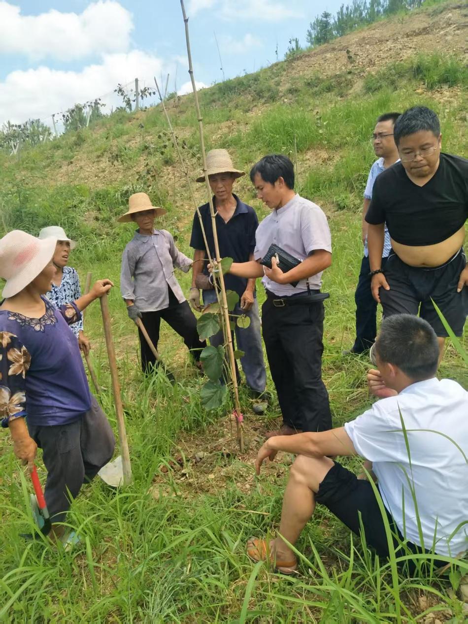 荒山拓路 同心筑梦——湘西龙山县残疾人创业先锋彭吉武用25年书写创业共富传奇