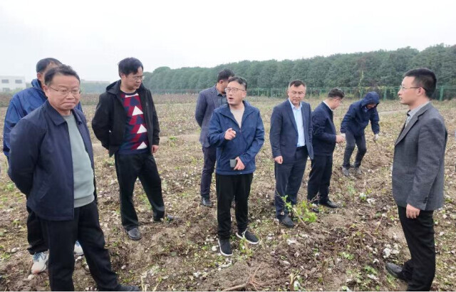 国内领先！湖南研发棉花秸秆收割粉碎打捆一体机