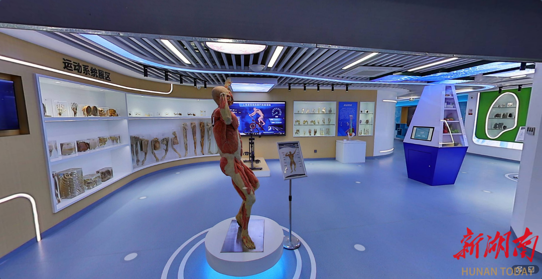 党建引领聚合力 “医+”品牌暖民心 常德职院基础医学系党支部打造“党建‘医+’ 健康为民”品牌纪实