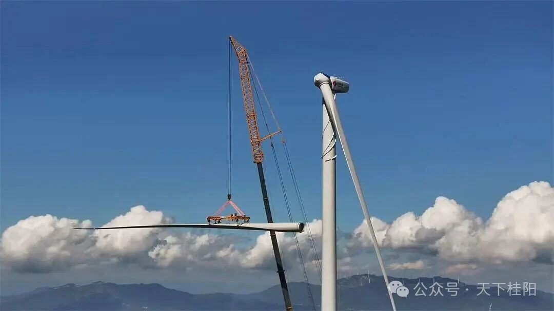 桂阳：追风逐电 向“绿”发展