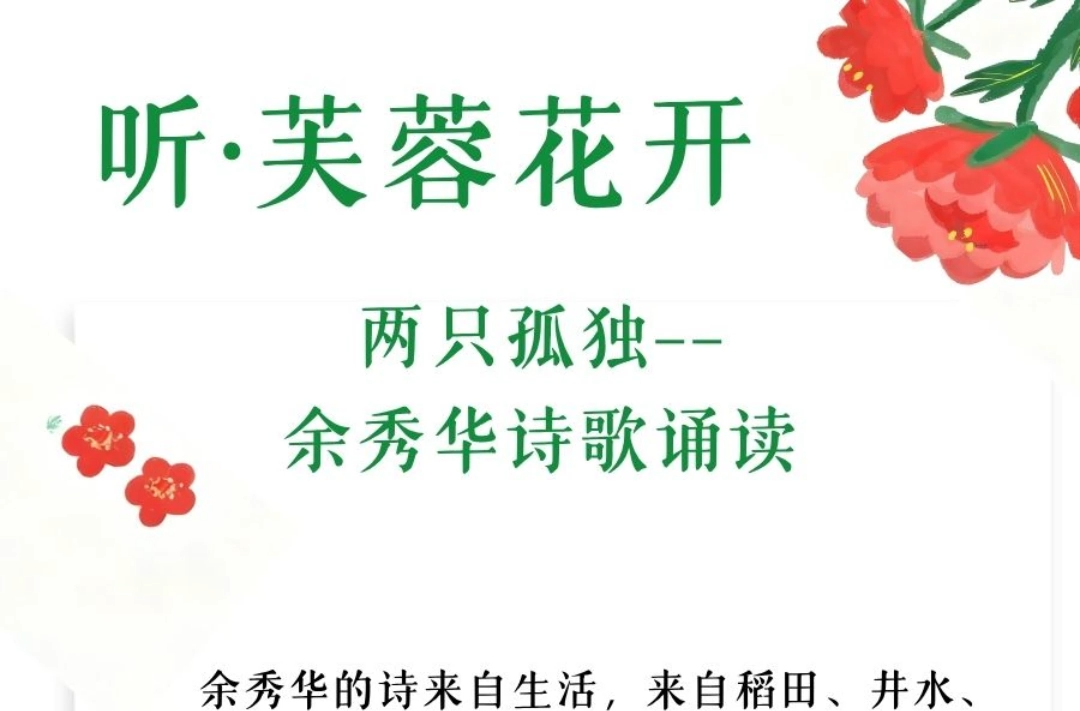 听·芙蓉花开 | 《两只孤独》——余秀华诗歌诵读
