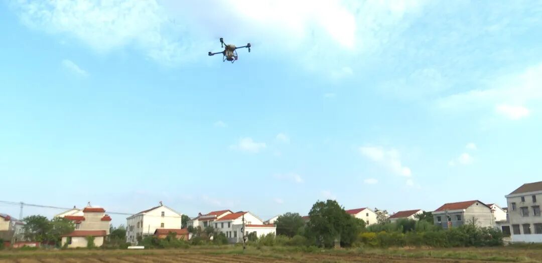 三年攻坚，8万亩“酸土”变“良田”！