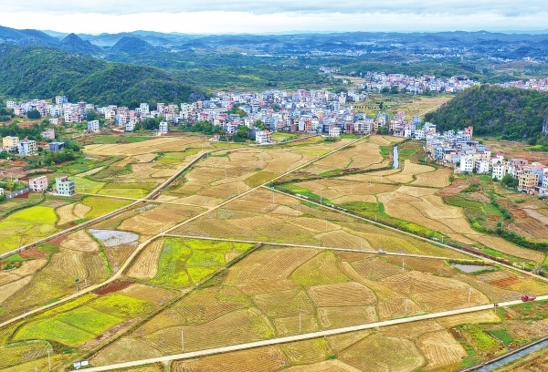 湖南日报·视觉丨嘉禾：大地“指纹”